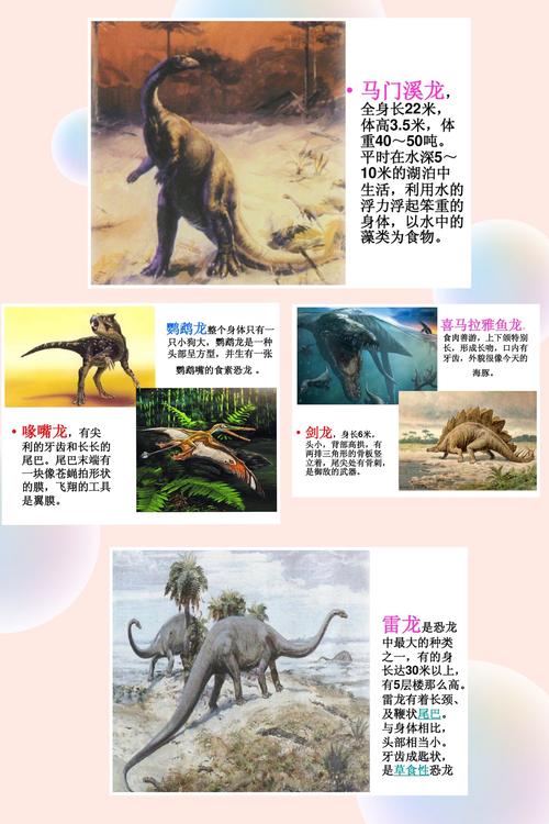 恐龙的来历的相关图片